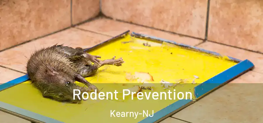  Rodent Prevention Kearny-NJ