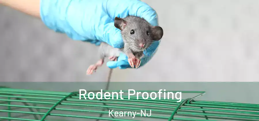 Rodent Proofing Kearny-NJ