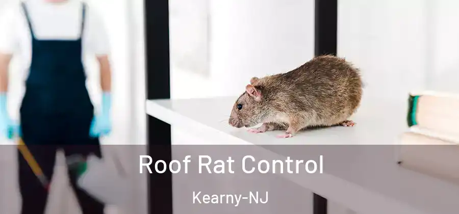 Roof Rat Control Kearny-NJ