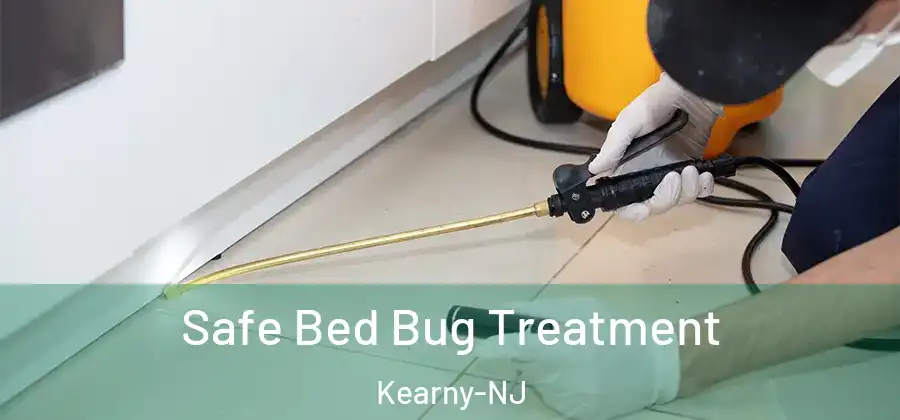  Safe Bed Bug Treatment Kearny-NJ