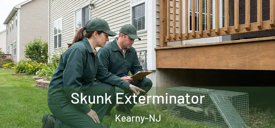 Skunk Exterminator Kearny-NJ