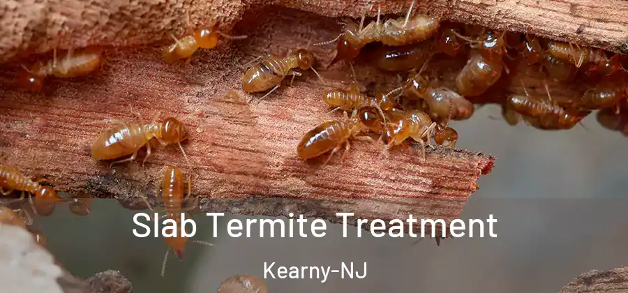  Slab Termite Treatment Kearny-NJ