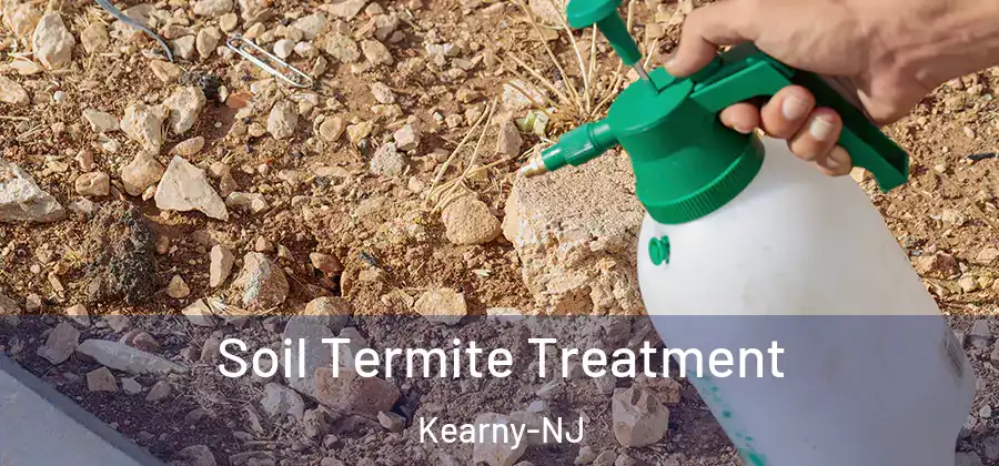  Soil Termite Treatment Kearny-NJ