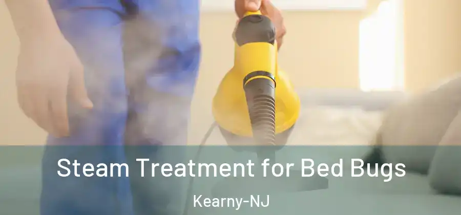 Steam Treatment for Bed Bugs Kearny-NJ