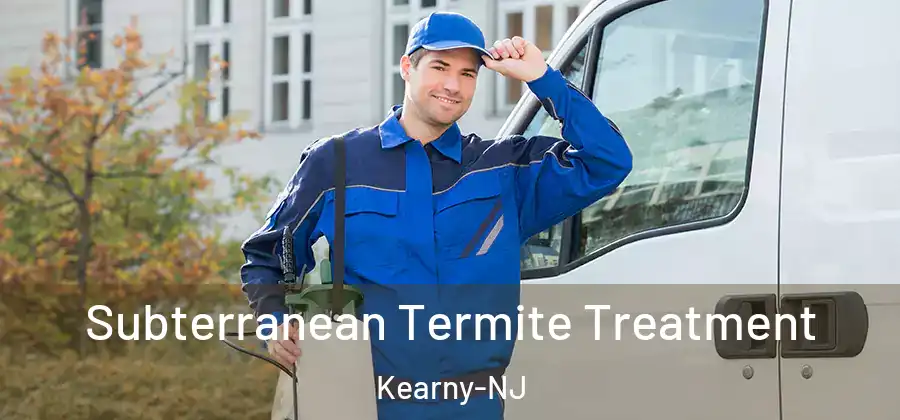  Subterranean Termite Treatment Kearny-NJ