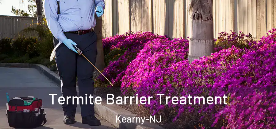 Termite Barrier Treatment Kearny-NJ