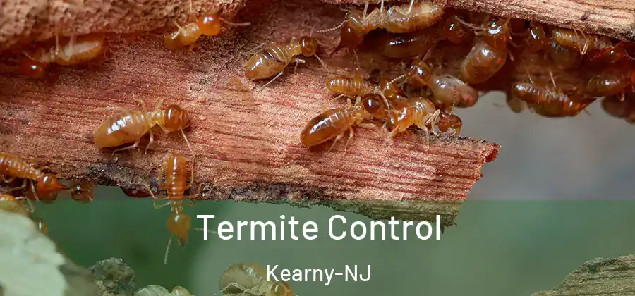  Termite Control Kearny-NJ