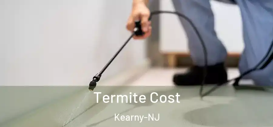 Termite Cost Kearny-NJ