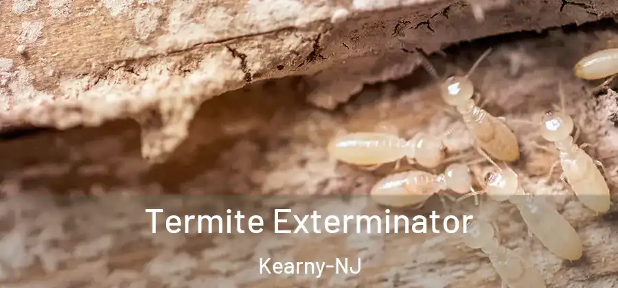 Termite Exterminator Kearny-NJ