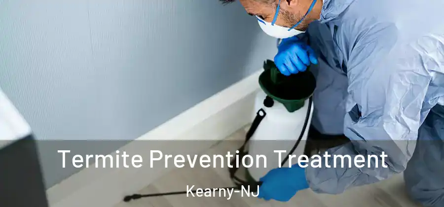  Termite Prevention Treatment Kearny-NJ