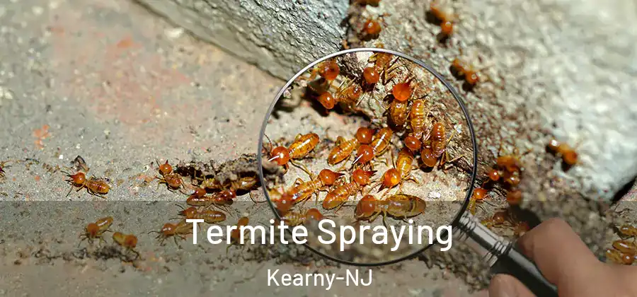 Termite Spraying Kearny-NJ