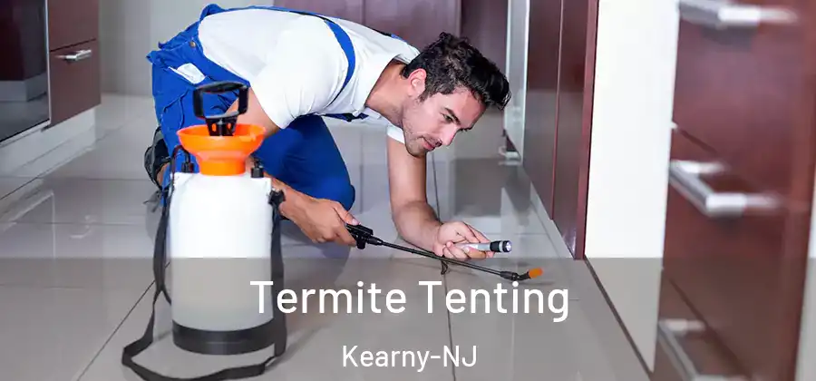 Termite Tenting Kearny-NJ