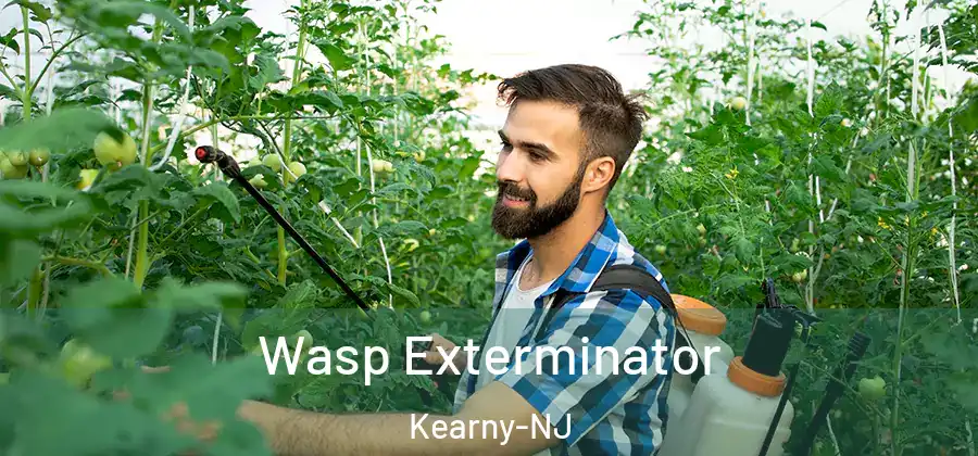 Wasp Exterminator Kearny-NJ