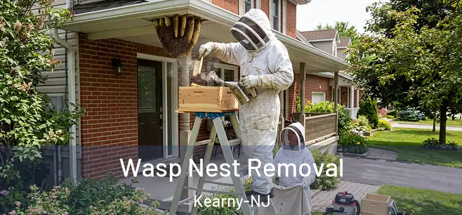  Wasp Nest Removal Kearny-NJ