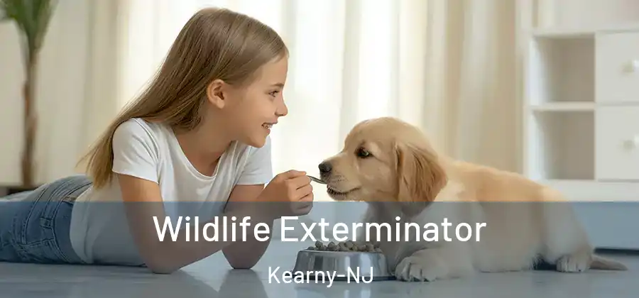 Wildlife Exterminator Kearny-NJ