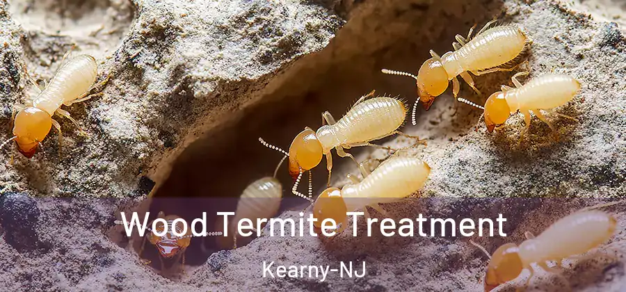 Wood Termite Treatment Kearny-NJ