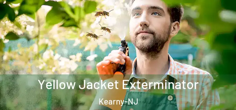 Yellow Jacket Exterminator Kearny-NJ